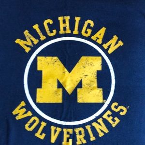 3 Michigan tees. All XL and 1 is long sleeve